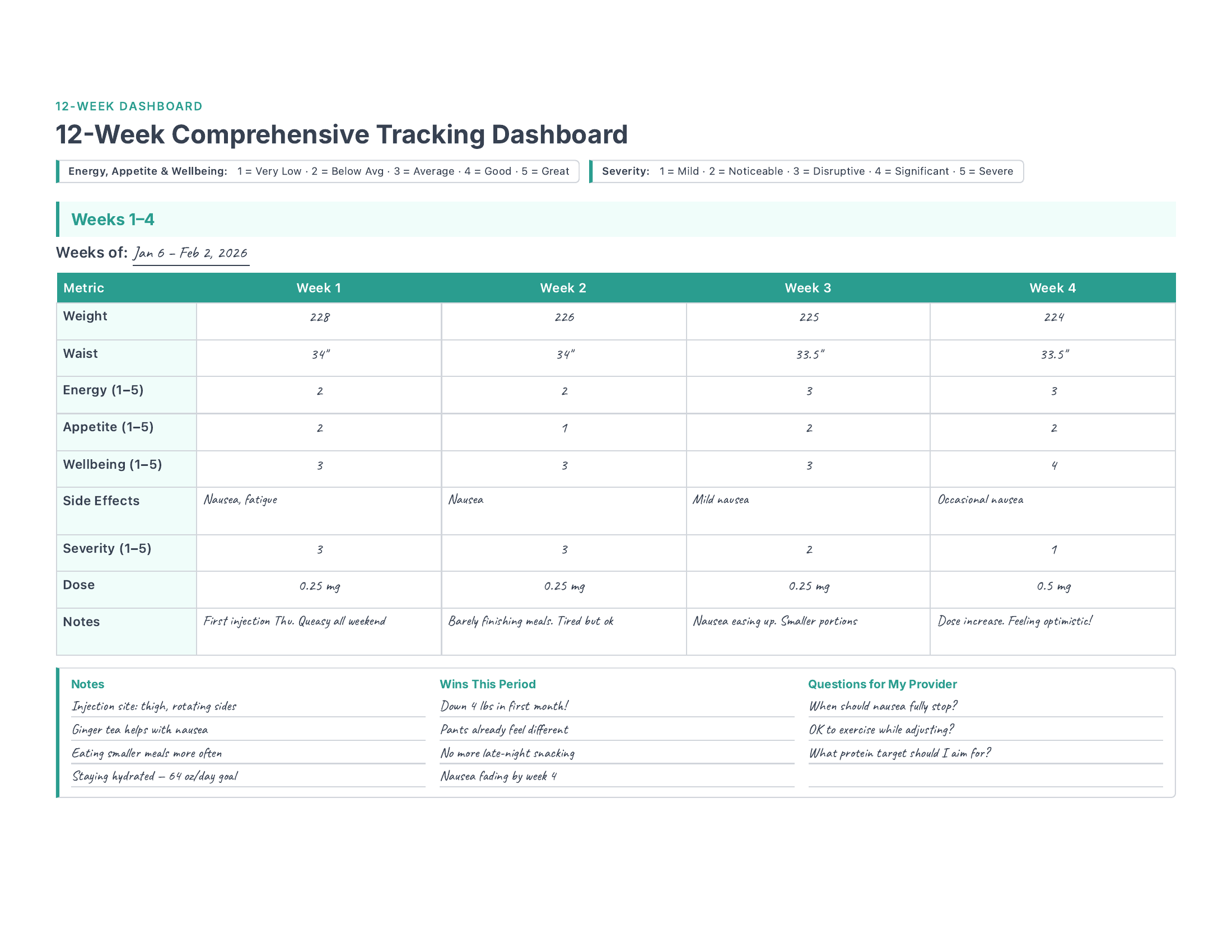 12-Week Comprehensive Dashboard preview