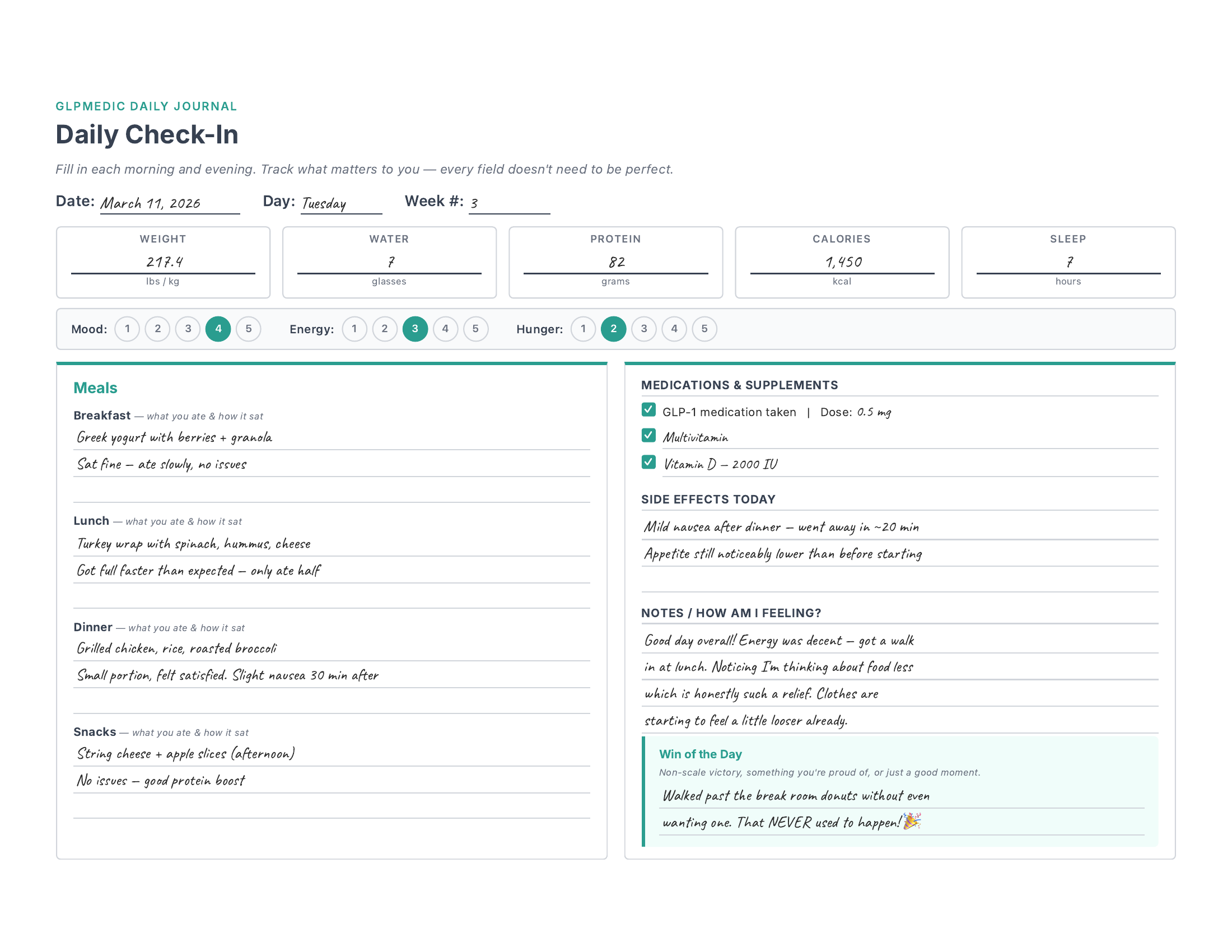 Daily Check-In Journal preview