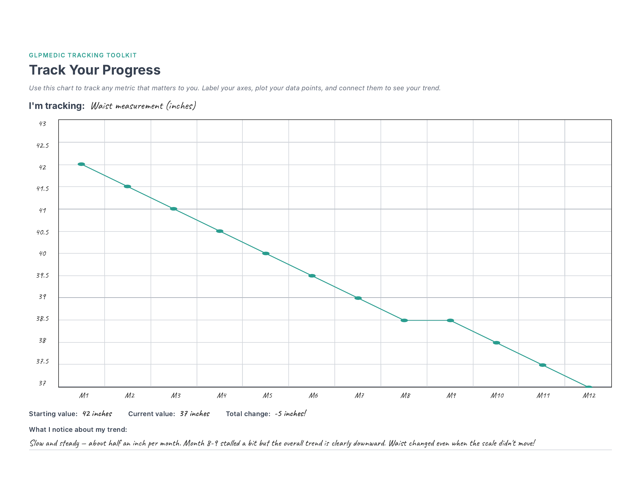 Progress Visualization Charts — filled-in example — Track Anything Chart